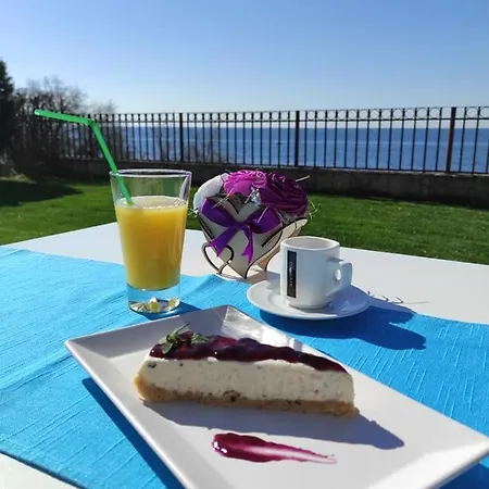 Romana Apartahotel Topola