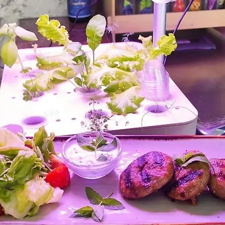 Romana Apartahotel Topola